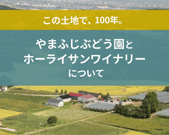 やまふじぶどう園とホーライサンワイナリーについて